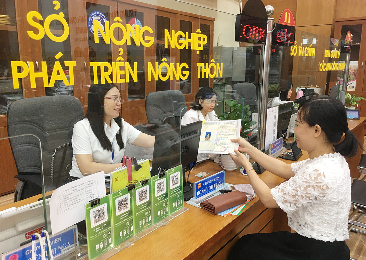 Đề cao trách nhiệm người đứng đầu và trách nhiệm cá nhân của CBCC cơ quan hành chính nhà nước các cấp trong xử lý công việc.